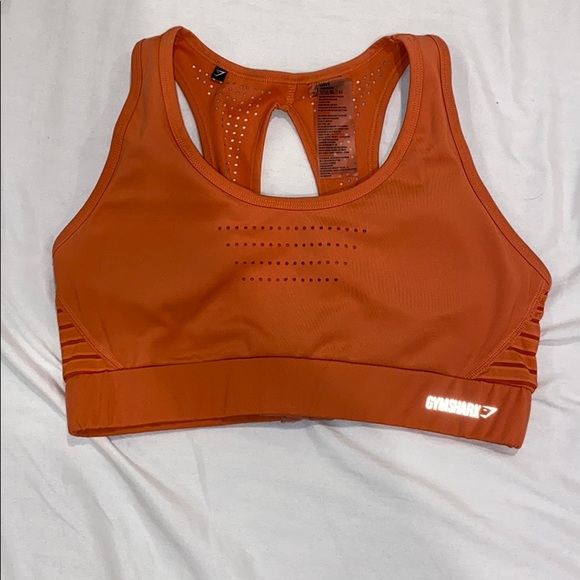 shark bra
